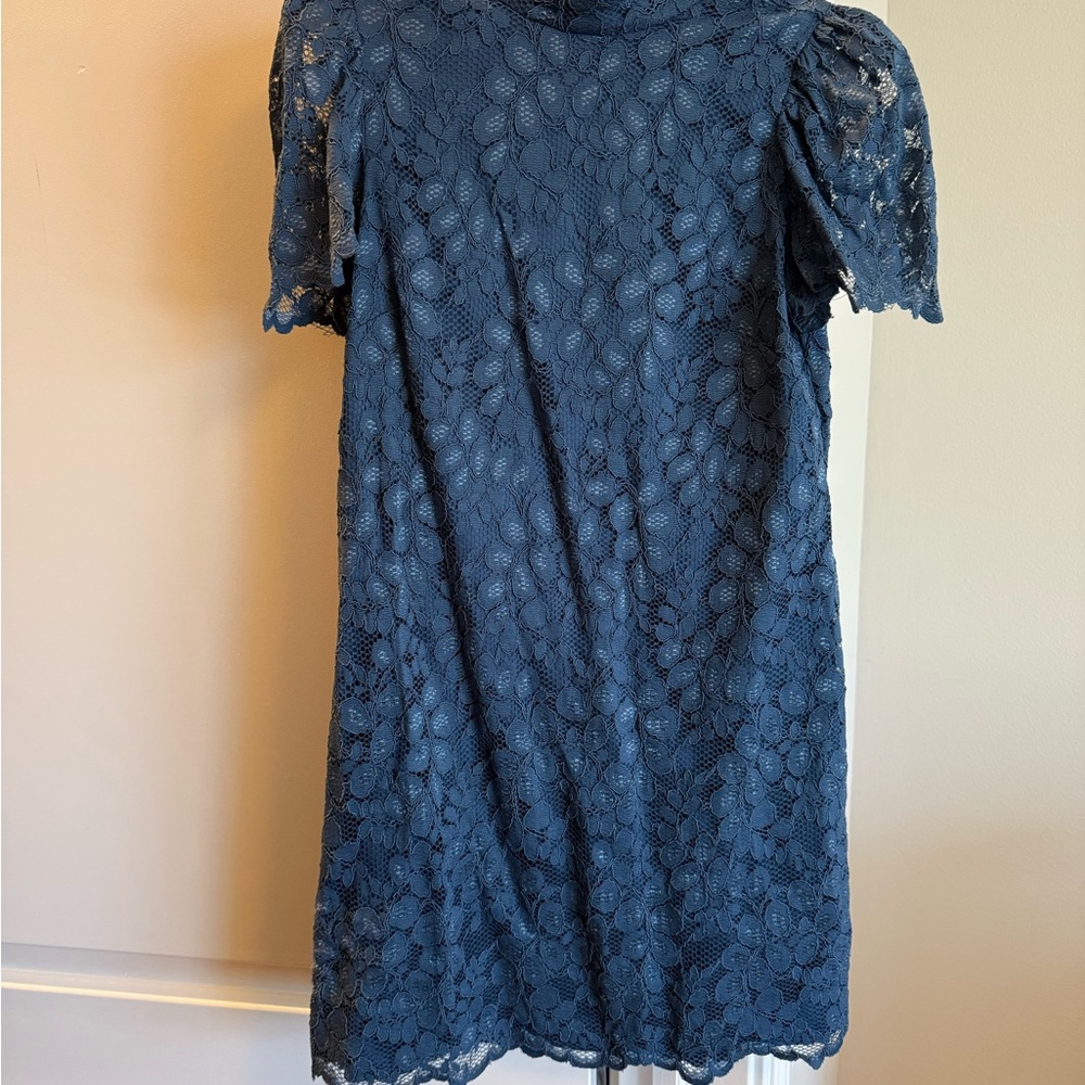 Eliza J Blue Lace Dress